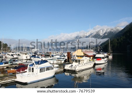 Coastal Marina With Scenic Mountains