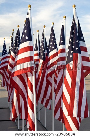 National flags of USA on flag poles
