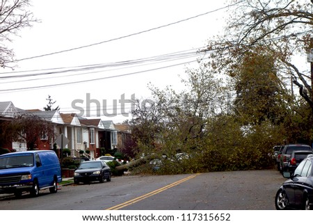 BROOKLYN, NY -OCTOBER 30: Fallen tree in the aftermath of Hurricane Sandy on October 30, 2012 in Brooklyn, NY