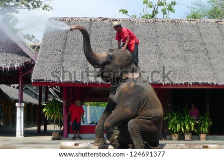 NEAR BANGKOK, THAILAND - APRIL 27:Elephant show  April 27, 2010 near Bangkok, Thailand. The Thai Elephant is the Symbol of Nation. A white elephant is even included in the flag of the Royal Thai navy.