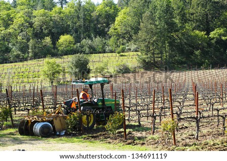 NAPA VALLEY, CA - MARCH 26:Worker cultivates soil in vineyard by tractor with disc narrows on March 26, 2013 in Napa Valley. Soil cultivation help control weeds and produce healthy grapes