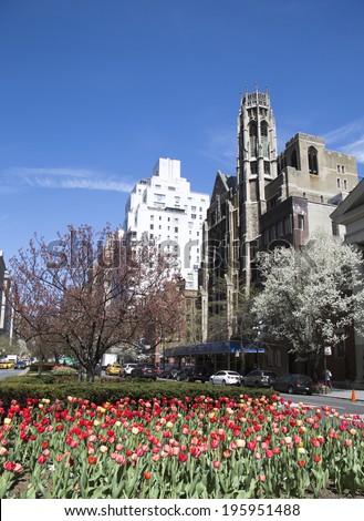 NEW YORK - APRIL 24: Spring flowers blooming at Park Avenue in Manhattan on April 24, 2014