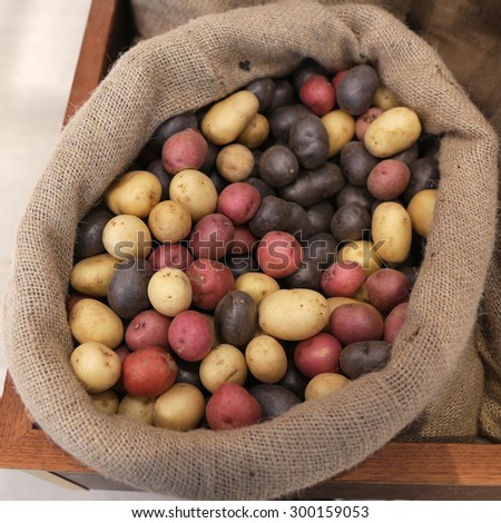 Bag of red, white and blue whole uncooked, raw potatoes