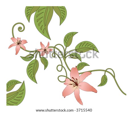 Vines And Flowers Vector - 3715540 : Shutterstock