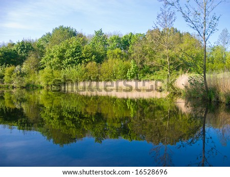 Beautiful lake, view from the water. Trees reflected in water.