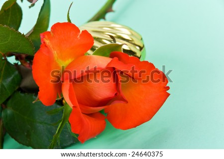Red Roses and golden jewel case