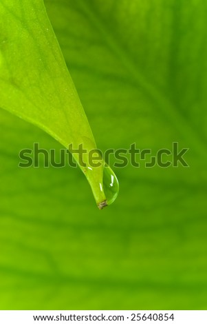 green sheet background with raindrops