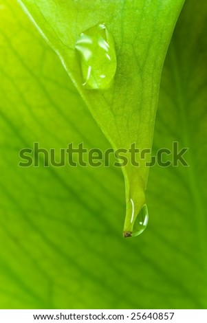 green sheet background with raindrops
