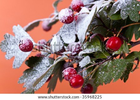 Christmas Ornament with Snow Flakes and Berries