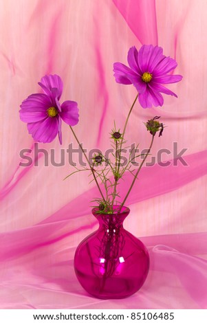 A Pretty Pink Flower in Vase
