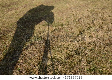 this play shadow and this shadow photographer in nature