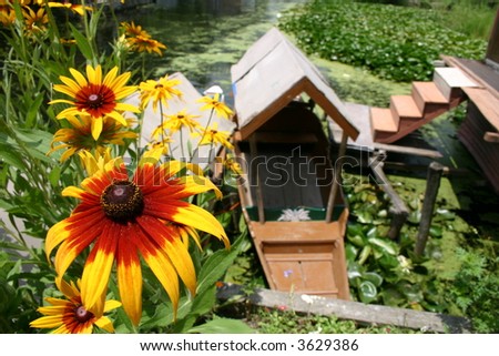 flowers with boat and dock in the background, India