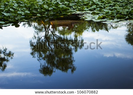 Reflection of a beautiful blue sky and Chinese pavilion in a pond at the Ming Xiaoling Tomb in Nanjing China