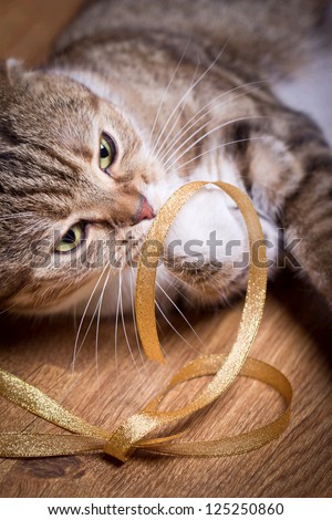 The cat plays with a golden ribbon