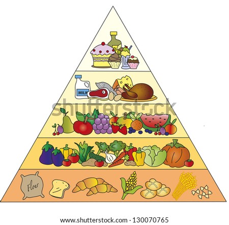 illustration of food pyramid isolated