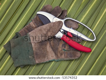 A pair of secateurs and old gloves on a leaf background.