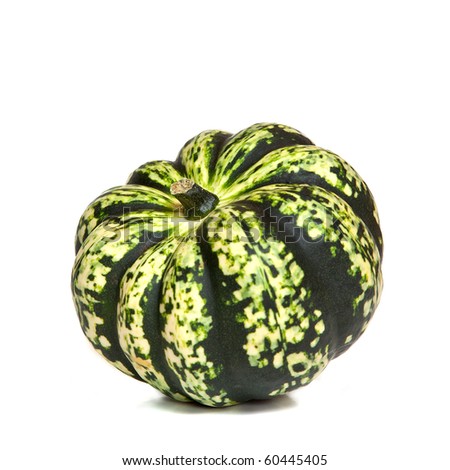 Leo's first garden - Page 2 Stock-photo-a-decorative-green-squash-or-gourd-variety-harlequin-on-a-white-background-60445405