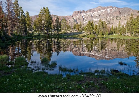 Wasatch National Forest. Uinta National Forest,