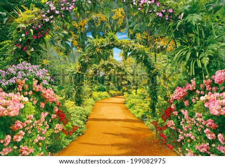 Flower alley with liana arches
