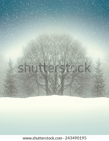 Winter trees and snowfall abstract background