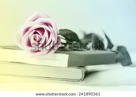 Pink rose flower and book on the bed. Vintage style.