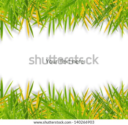 Colorful bamboo leaves on a white background for design