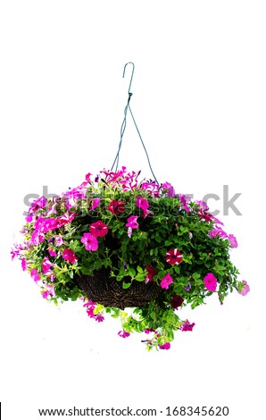 basket of flowers isolated on white background basket of flowers isolated on white background