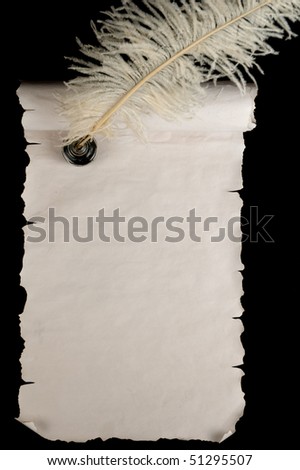 blank scroll paper. stock photo : Blank old scroll