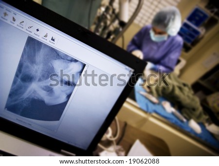 Computer screen and veterinary surgery at an animal clinic