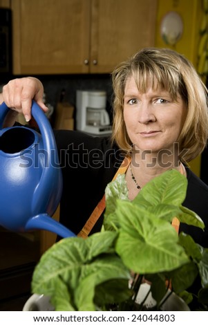 Woman in Kitchen Watering Wearing Apron a Plant
