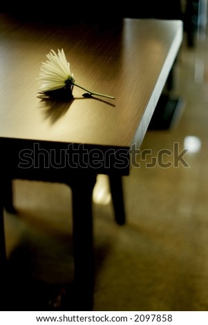 lonely white flower on table in dark restaurant