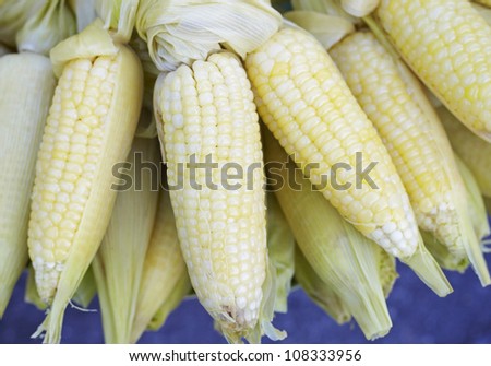 Ripe peruvian corn