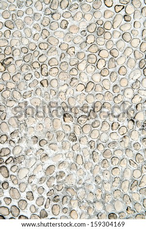 Pebble patterns on the walls