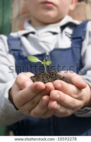 The boy holds a little plant in hands