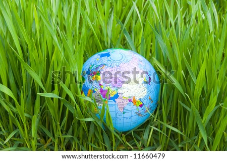 Earth  globe in hte grass