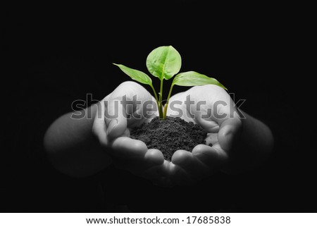 pictures of hands holding. stock photo : Hands holding