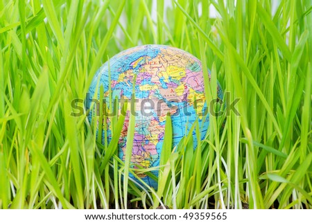 Earth globe in the grass