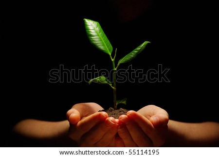 Hands holding sapling in soil on black