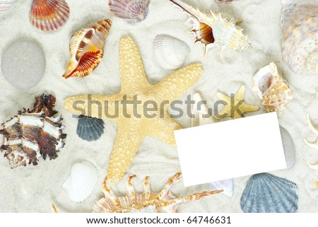 sea stars and shells an blank postcard on sands