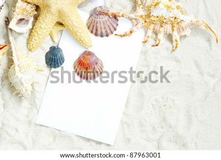 sea stars and shells an blank postcard on sands
