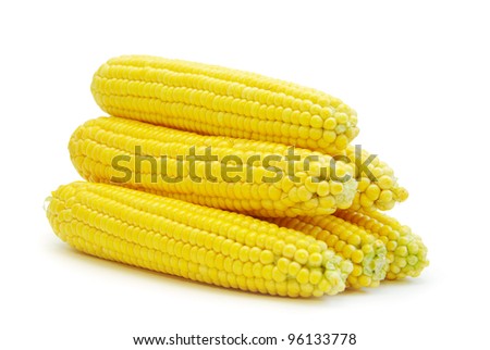 Sweet maize isolated on white background