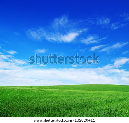 Field On A Background Of The Blue Sky