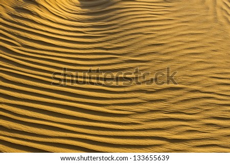 Sand texture in Gold desert Sand texture in Gold desert