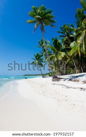 sea beach. Vacation and Tourism concept.