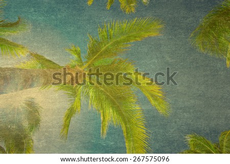 Palm tree on the sky