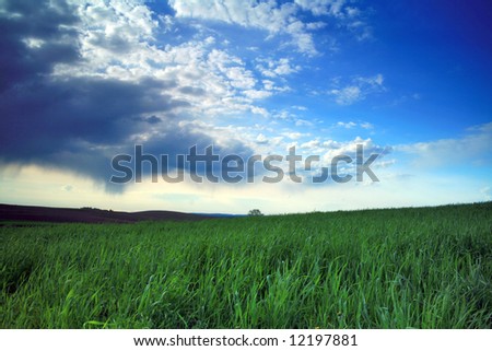 Green field and blue sky with thunder-clouds on it