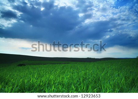 Green field and blue sky with thunder-clouds