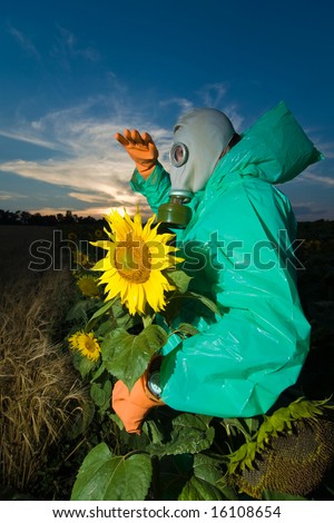Man in protective suits with gas mask on sunflower field
