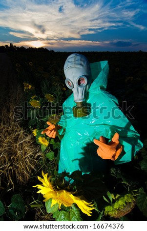Man in protective suits and gas mask on sunflower field