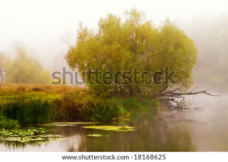Autumn scene. Trees near tranquil river. In mist.